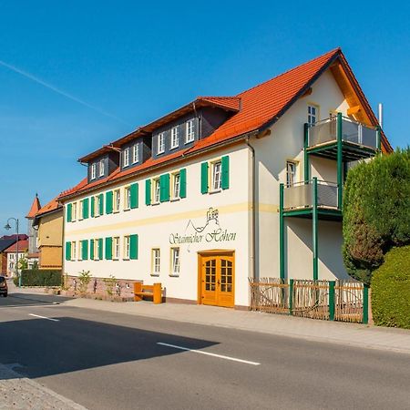 Staimicher Hoehen - Premium Appartements Kurort Steinbach-Hallenberg エクステリア 写真